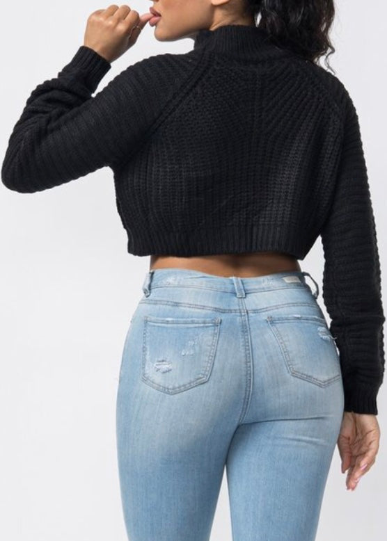 Hera Collection Mock Neck Sweater (Black) 22600