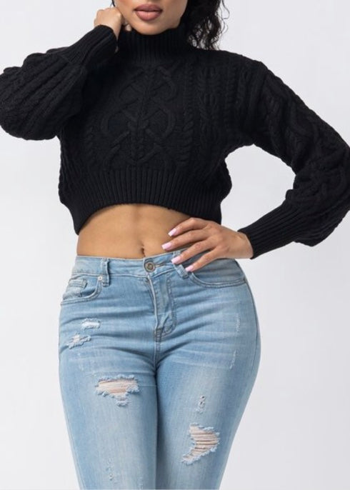 Hera Collection Turtle Neck Crop Cable Sweater (Black) 22574