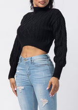 Hera Collection Turtle Neck Crop Cable Sweater (Black) 22574