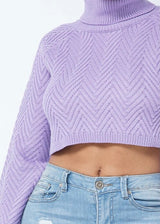 Hera Collection Chevron Turtle Neck Sweater (Lavender) 22563