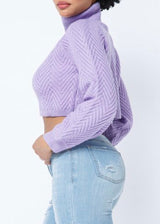 Hera Collection Chevron Turtle Neck Sweater (Lavender) 22563