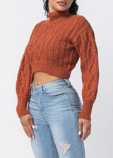 Hera Collection Turtle Neck Crop Cable Sweater (Rust) 22574