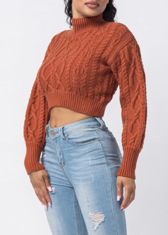 Hera Collection Turtle Neck Crop Cable Sweater (Rust) 22574
